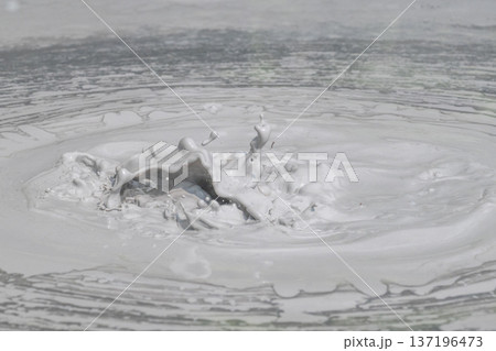 大地の芸術－別府・坊主地獄 137196473
