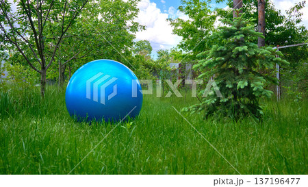 Summer spring resting.Large blue rubber ball for games,l sports exercises 137196477