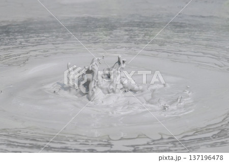 大地の芸術－別府・坊主地獄 137196478