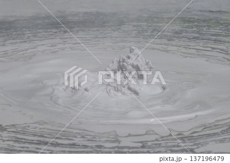 大地の芸術-別府・坊主地獄 大地の芸術-別府・坊主地獄 137196479