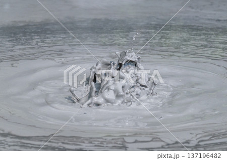 大地の芸術－別府・坊主地獄 137196482