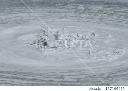 大地の芸術－別府・坊主地獄 137196483