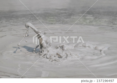 大地の芸術－別府・坊主地獄 137196497