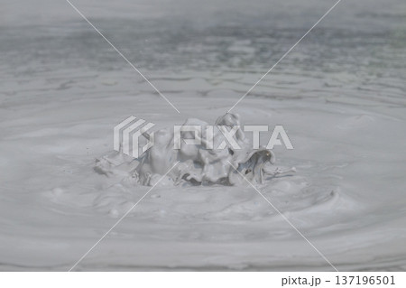 大地の芸術-別府・坊主地獄 大地の芸術-別府・坊主地獄 137196501