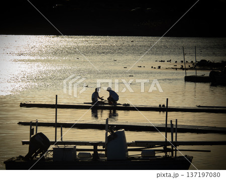湖畔の青春の一コマ 137197080