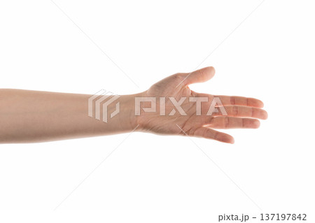 Young woman hand for handshake isolated on white 137197842