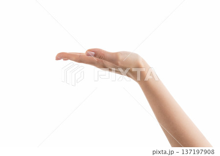 Young woman hand hold something with flat palm isolated on white 137197908