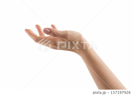 Young woman hand reaching or holding something isolated on white background 137197926