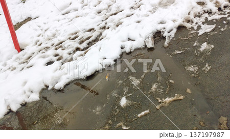 Sidewalk. Melting snow on the ground. 137197987
