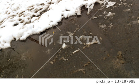 Sidewalk. Melting snow on the ground. 137197989