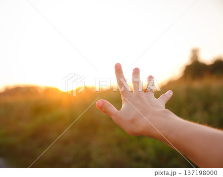 Warm sunset hues create peaceful, dreamy countryside atmosphere. Warm sunset hues create peaceful, dreamy countryside atmosphere. 137198000