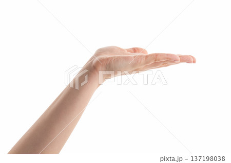 Young woman hand hold something with flat palm isolated on white Young woman hand hold something with flat palm isolated on white 137198038