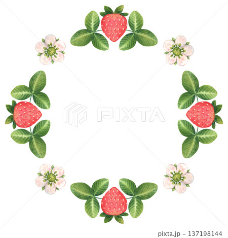 Simple wreath of stylized strawberry berries, flowers, and leaves. Round frame of individual elements. Hand-drawn watercolor illustration isolated on a white background. Ideal for children's products Simple wreath of stylized strawberry berries, flowers, and leaves. Round frame of individual elements. Hand-drawn watercolor illustration isolated on a white background. Ideal for children's products 137198144