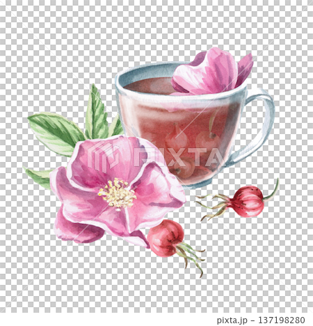 Watercolor illustration of rosehip drink in a cup with branches and flowers. Isolated illustration for designs related to natural products, healthy eating, spas, pharmacies, and eco-beauty. 137198280