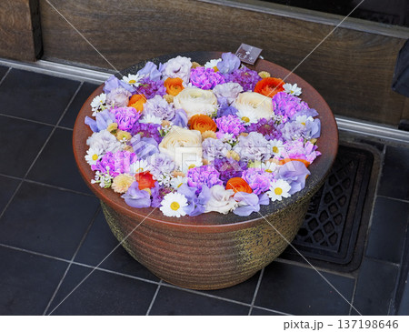 花手水・深川花手水 花手水・深川花手水 137198646