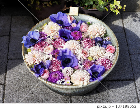 花手水・深川花手水 137198652