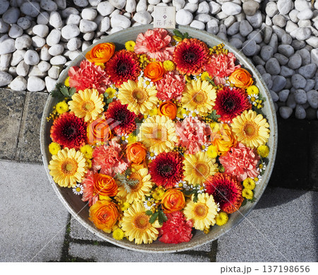 花手水・深川花手水 花手水・深川花手水 137198656