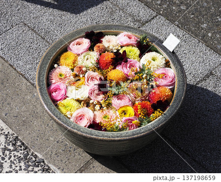 花手水・深川花手水 137198659