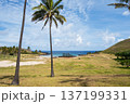 アナケナ・ビーチ、ラパ・ヌイ国立公園、イースター島2025年11月 137199331