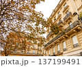 Haussmann architecture in Paris, France during autumn, with detailed balconies and changing tree leaves 137199491