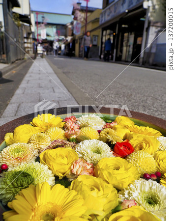 花手水・深川花手水 花手水・深川花手水 137200015