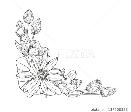 Blooming lotus flowers, buds, leaves vector isolate corner frame in black ink linear style. Water lily, leaf, bud illustration with space for text. For certificates, invitations, greeting cards 137200328
