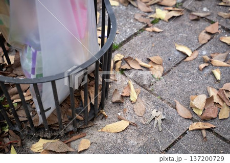 House keys lying on the ground next to a trash bin with autumn leaves scattered around. Everyday outdoor scene showing personal objects in a casual seasonal urban setting. 137200729