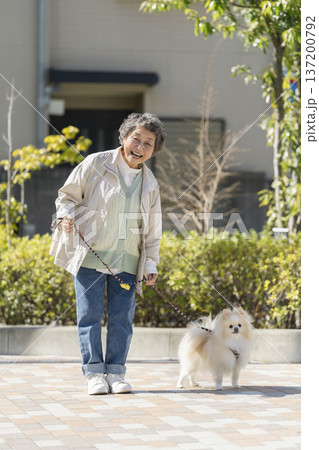 犬の散歩をする笑顔のシニア女性 カメラ目線 犬の散歩をする笑顔のシニア女性 カメラ目線 137200792