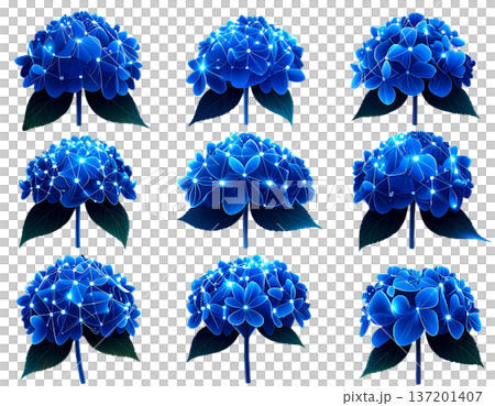 無地背景に整列して並ぶ複数のあじさいの花 137201407