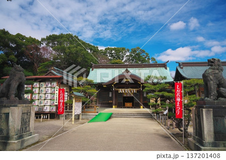 三重県津市 しだれ梅まつりの結城神社 三重県津市 しだれ梅まつりの結城神社 137201408