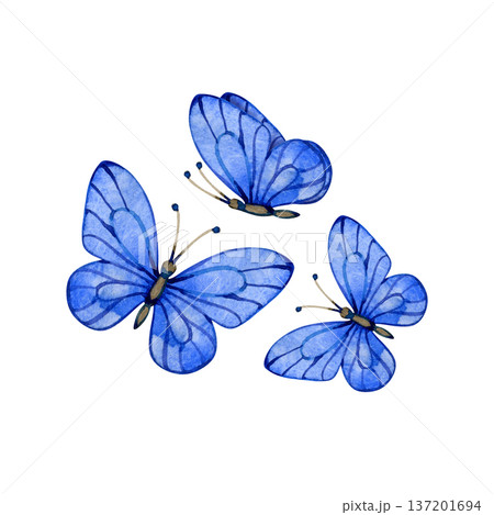 Hand-painted watercolor illustration of three vibrant blue butterflies in flight. These delicate, artistic insects feature detailed wing patterns and are perfect for nature-themed designs and spring 137201694
