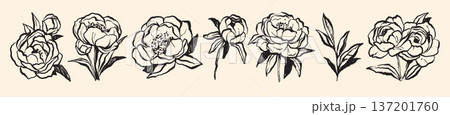 Peony doodle set, hand drawn line flowers, spring holiday Woman Day whimsical March illustration. Peony doodle set, hand drawn line flowers, spring holiday Woman Day whimsical March illustration. 137201760