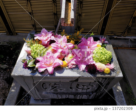永代寺の花手水・江東区 永代寺の花手水・江東区 137202309