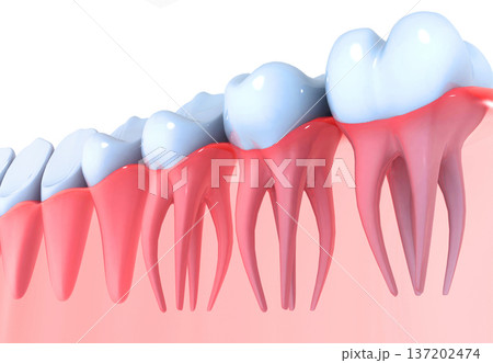 Tooth anatomy Tooth anatomy 137202474