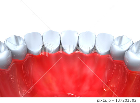 Tooth anatomy Tooth anatomy 137202502