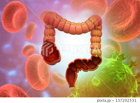 Large intestine anatomy on science background Large intestine anatomy on science background 137202531
