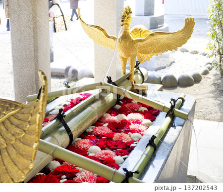 富岡八幡宮の花手水・江東区 137202543