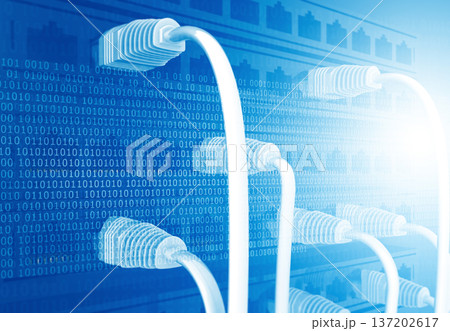 Network cables connected to data center 137202617