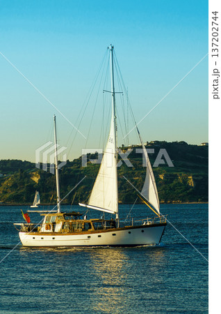 Sailboat with a white sail. Sailboat glides through calm waters 137202744