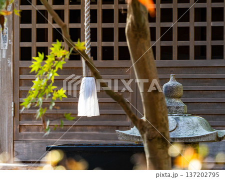 厳かな祈りの空間　緑に包まれた弁財天 137202795
