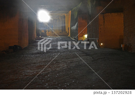 巨石の神殿 悠久の時を刻む地下迷宮 137202928