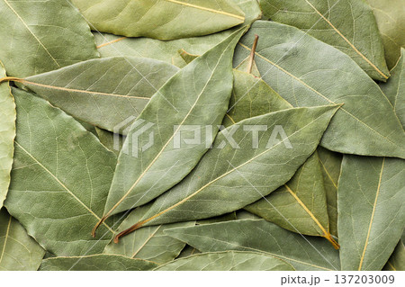 Dried bay leaves background. Top view 137203009