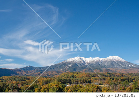 快晴の下、御嶽山展望台から望む冠雪の御嶽山と紅葉真っ盛りの開田高原 快晴の下、御嶽山展望台から望む冠雪の御嶽山と紅葉真っ盛りの開田高原 137203305