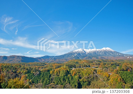快晴の下、御嶽山展望台から望む冠雪の御嶽山と紅葉真っ盛りの開田高原 快晴の下、御嶽山展望台から望む冠雪の御嶽山と紅葉真っ盛りの開田高原 137203308