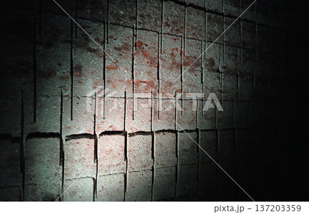 刻まれた歴史 無機質な石壁が魅せる地底のテクスチャ 137203359