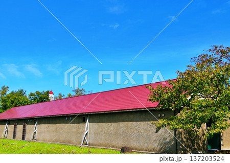 ニッカウヰスキー 余市蒸溜所の風景 137203524