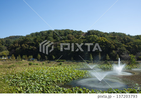 Han River bike path 137203793