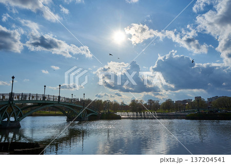 Old ornate bridge spans calm park lake under bright sun with fluffy clouds. Tranquil natural landscape for travel brochure. Old ornate bridge spans calm park lake under bright sun with fluffy clouds. Tranquil natural landscape for travel brochure. 137204541
