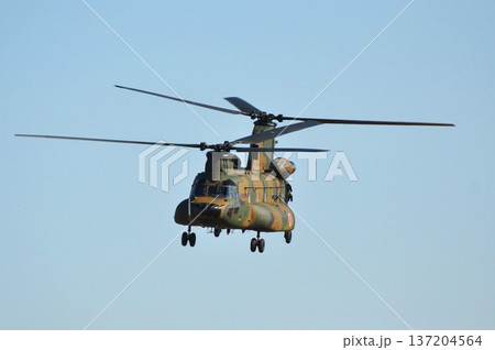 こちらに向かって飛んでくる自衛隊の軍用ヘリコプター こちらに向かって飛んでくる自衛隊の軍用ヘリコプター 137204564