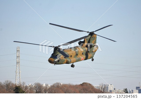 こちらに向かって飛んでくる自衛隊の軍用ヘリコプター こちらに向かって飛んでくる自衛隊の軍用ヘリコプター 137204565